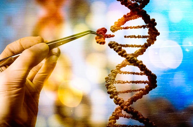 Genetic Engineering Breakthroughs